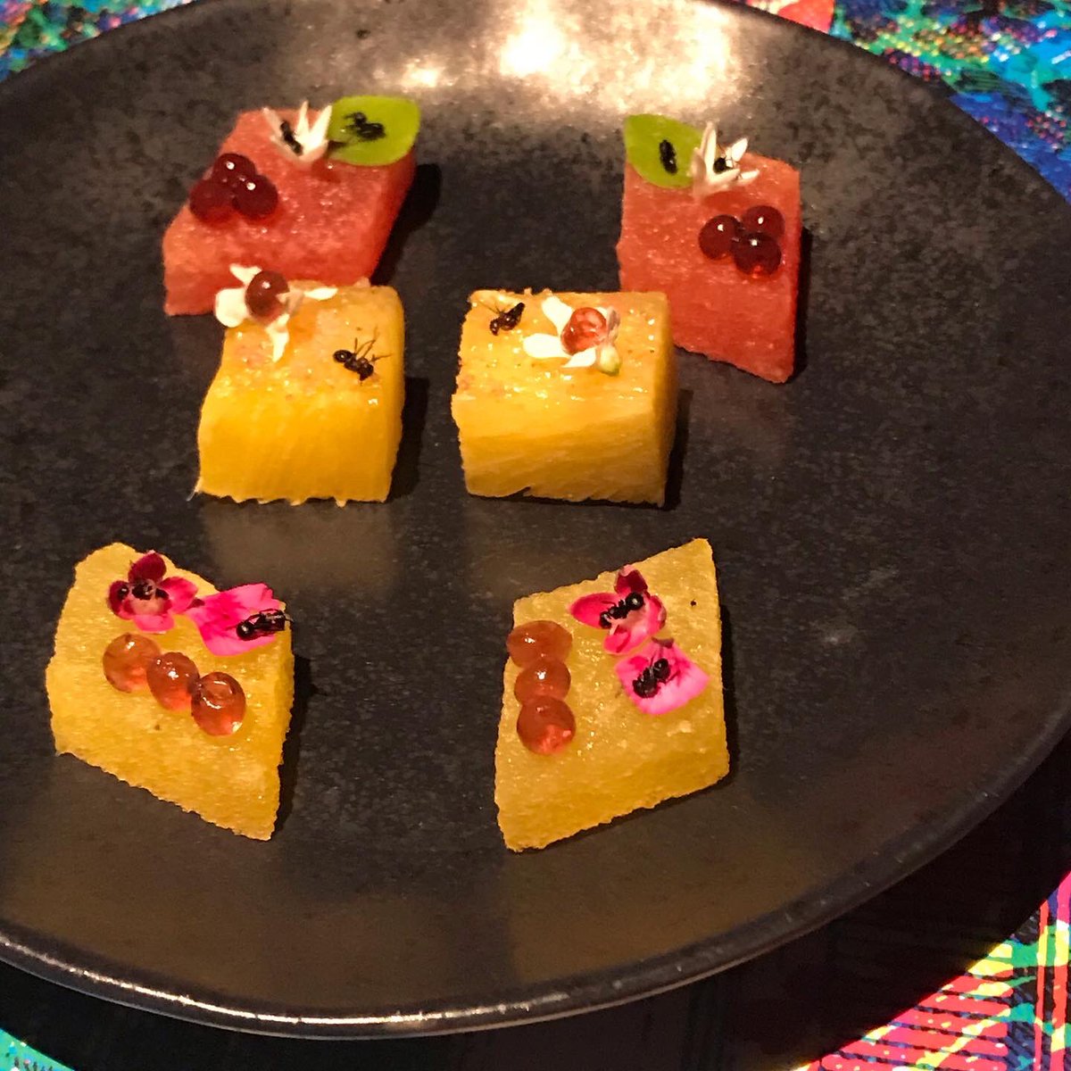 AlisonHMoore's tweet photo. Special birthday dinner with Mr. Wonderful at @eculent - a couple intriguing favorites: pressed watermelon and pineapple w/Brazilian ants (turns out ants  taste like lemons - who knew?) and “pig in a cloud” (cotton candy that tastes like a corny dog ... move over Fletchers!). https://t.co/F3dUxq9COz