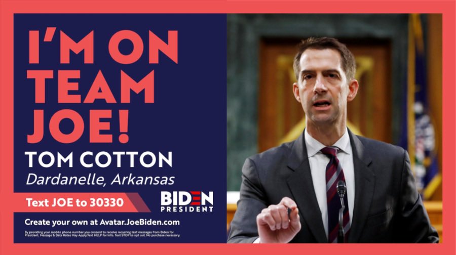TomCotton's tweet photo. @LindseyGrahamSC @realDonaldTrump Take the Don’s member out of your moth, get off your knees, and man up and show that you have a backbone! https://t.co/GxBtTL96Lm