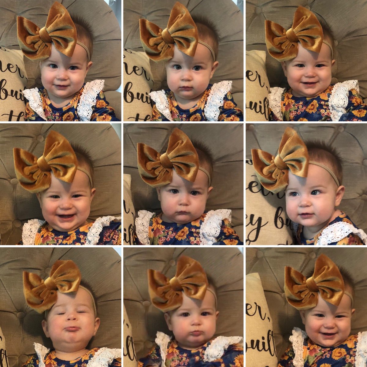 BethanyITC's tweet photo. Faces of Piper at 31 weeks
#happyfallyall #mustardandvelvet
#kneesocksbuttonsbows🌻
#twoteeth🦷🦷 #facesfordays #smilesformiles #fluffyhairdontcare
We L😍VE our velvet bows Biggies & Piggies!! https://t.co/U82LnHgyFG