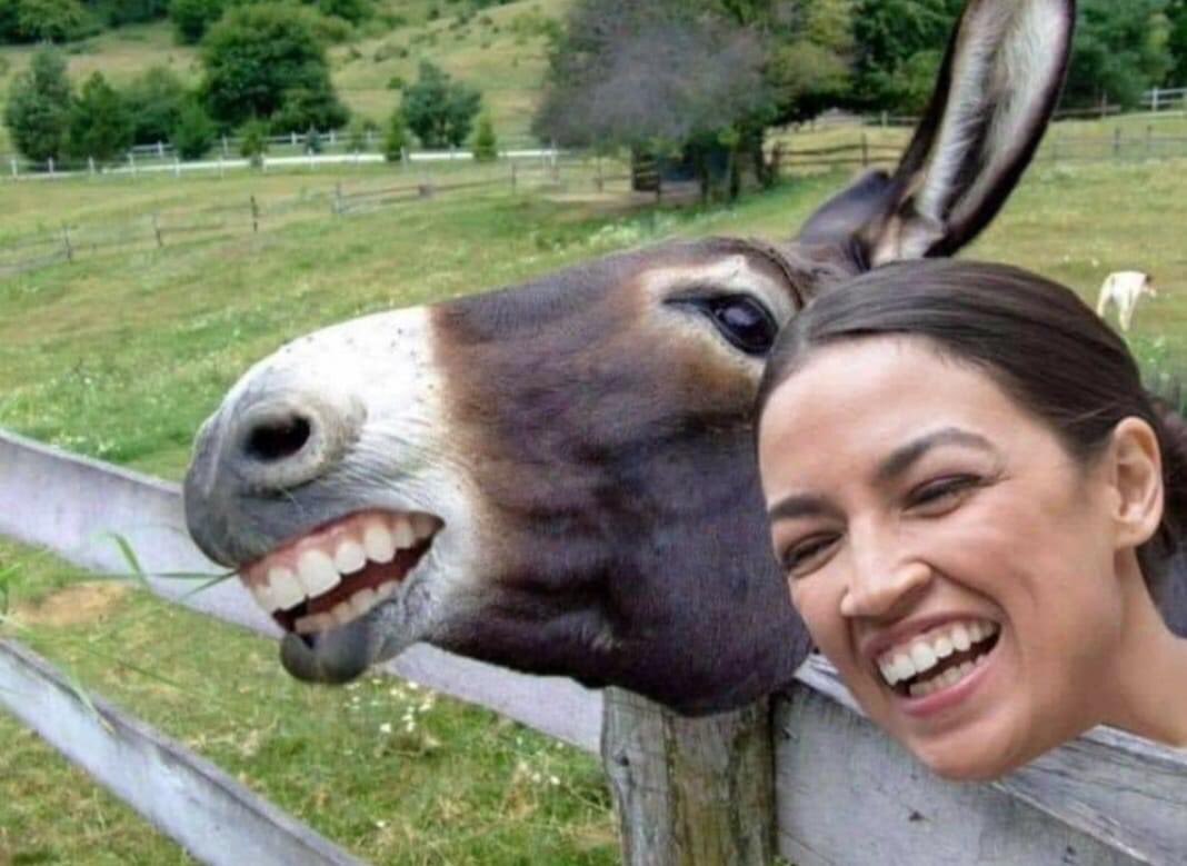 PhilipVickers14's tweet photo. @AOC To hell with all illegals .... send them home ! https://t.co/Kkh9vF34Fq