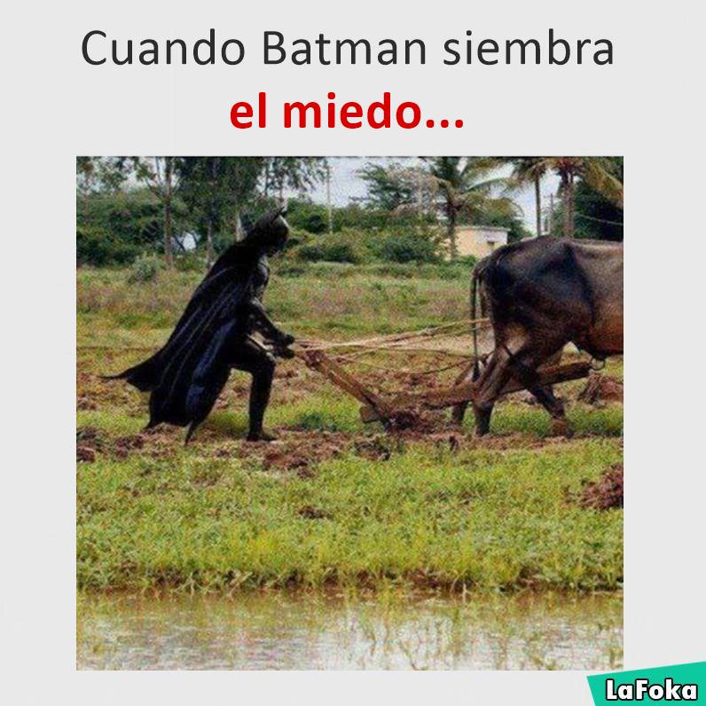 Jaimertaker's tweet photo. #Batman
#BatmanDay #DíaDeBatman #BatmanDay2020 #Batman81 #Batman81th #Batman81years #Batman81años https://t.co/vgUhmHvRO3