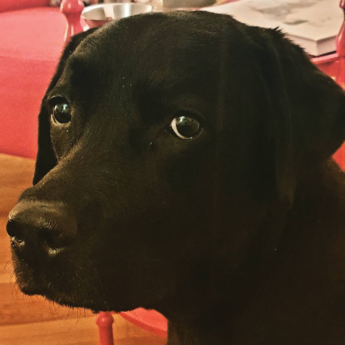 Hlaðvarp Óla Jóns tweet media