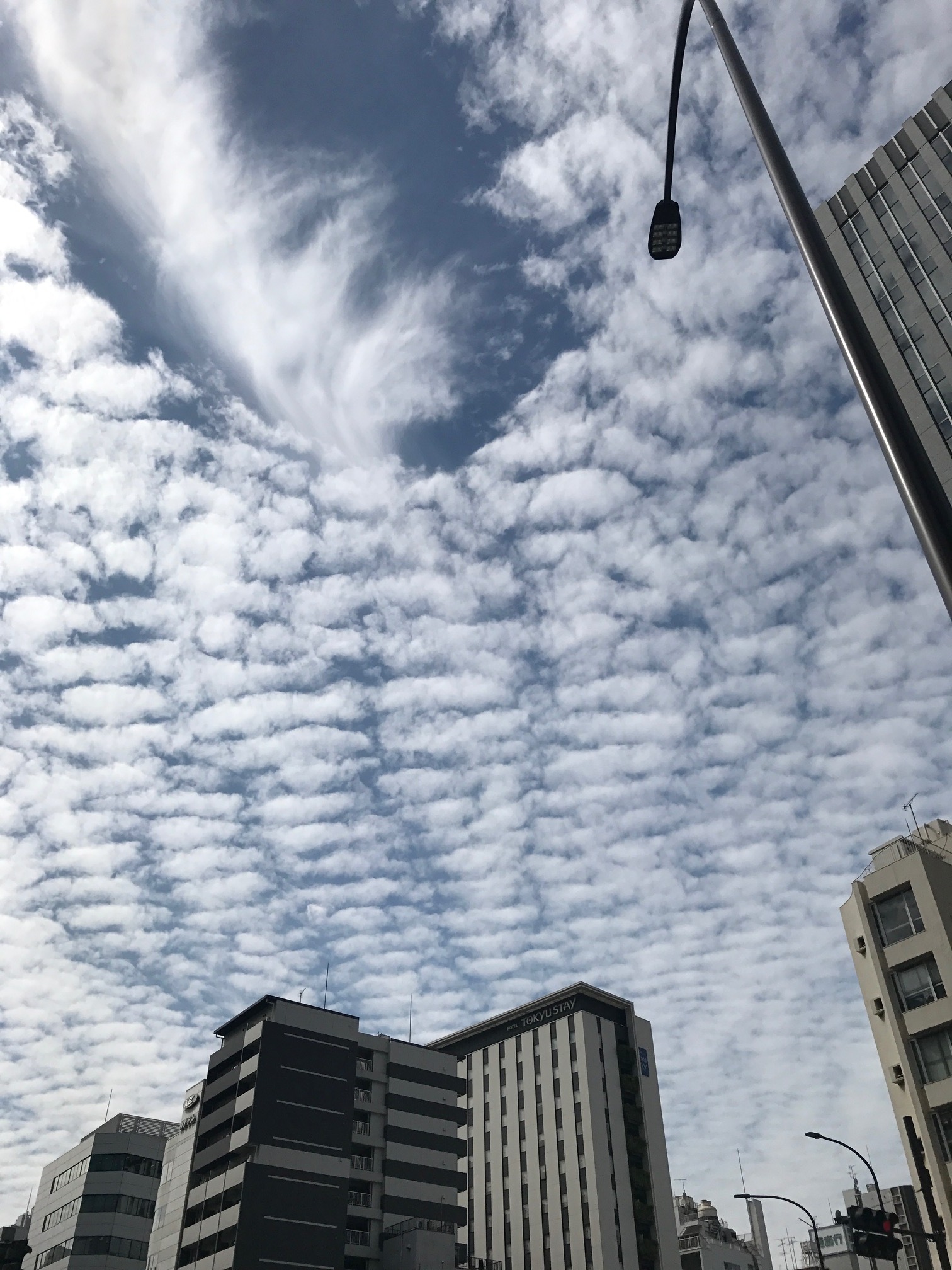 Softbank 今日は 空の日 画像の秋空に浮かぶ雲は うろこ雲 さば雲 いわし雲 ひつじ雲 分かる方 教えてください 秋空 Softbank T Co 8j2oyml1sw Twitter
