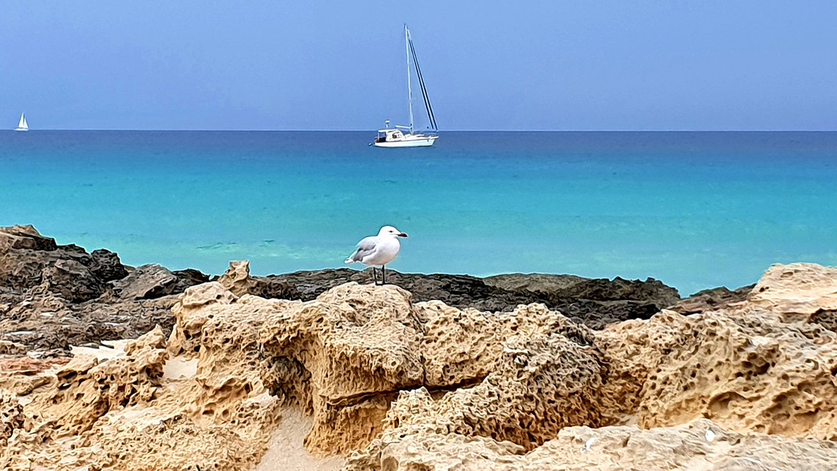 🇪🇸 EA4NF Philippe 🛰️ tweet media