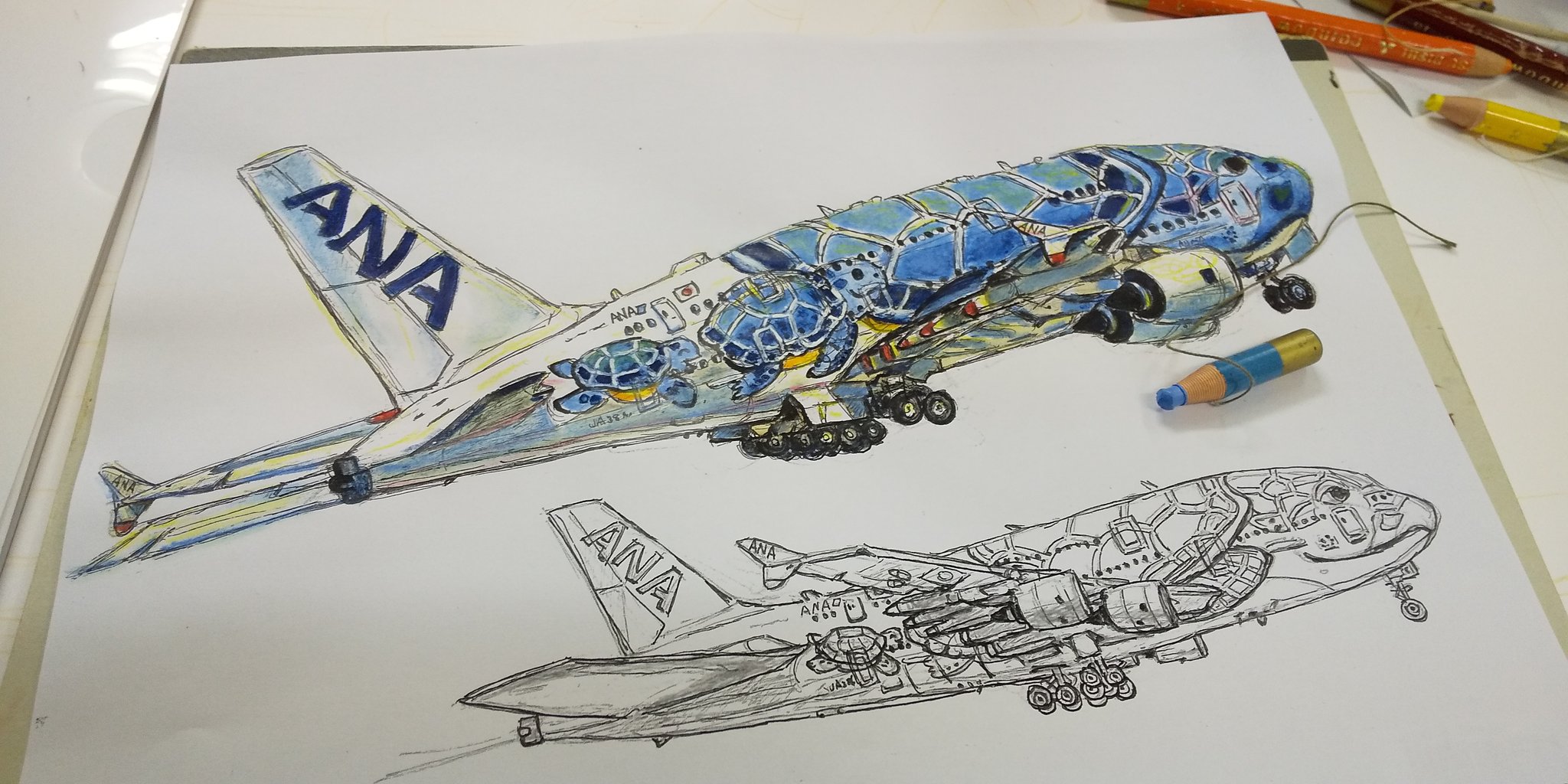 Wpo ねこいさんがanaのa380を塗り絵にしてくれました 子供たちが書いたとてもカラフルなフライングホヌがステキでした ソラマニ ヒコーキ 空の日 T Co Svd3gtha02 Twitter