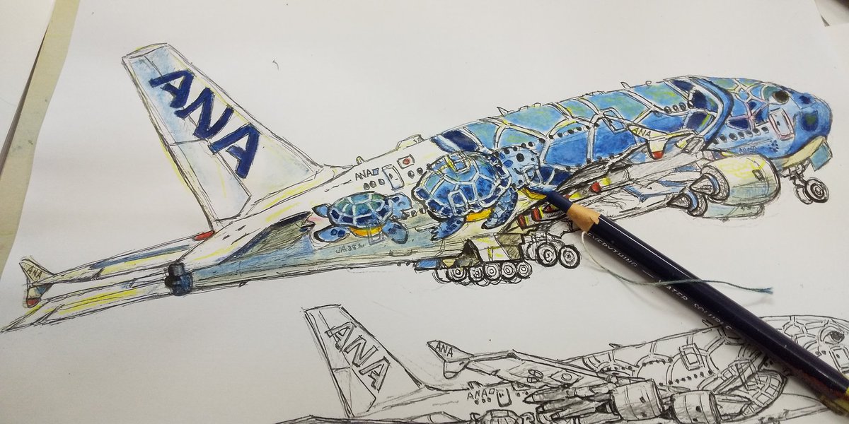 Wpo ねこいさんがanaのa380を塗り絵にしてくれました 子供たちが書いたとてもカラフルなフライングホヌがステキでした ソラマニ ヒコーキ 空の日 T Co Svd3gtha02 Twitter