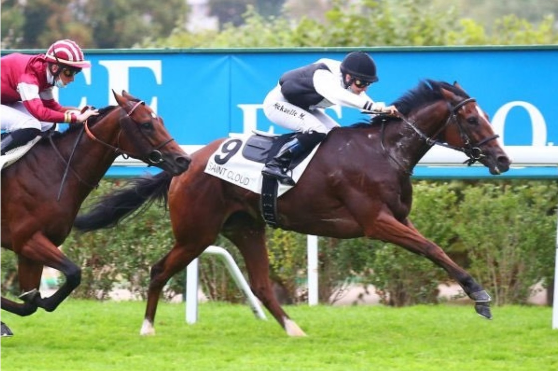 hkjc football betting results for belmont hkjc football betting results for belmont