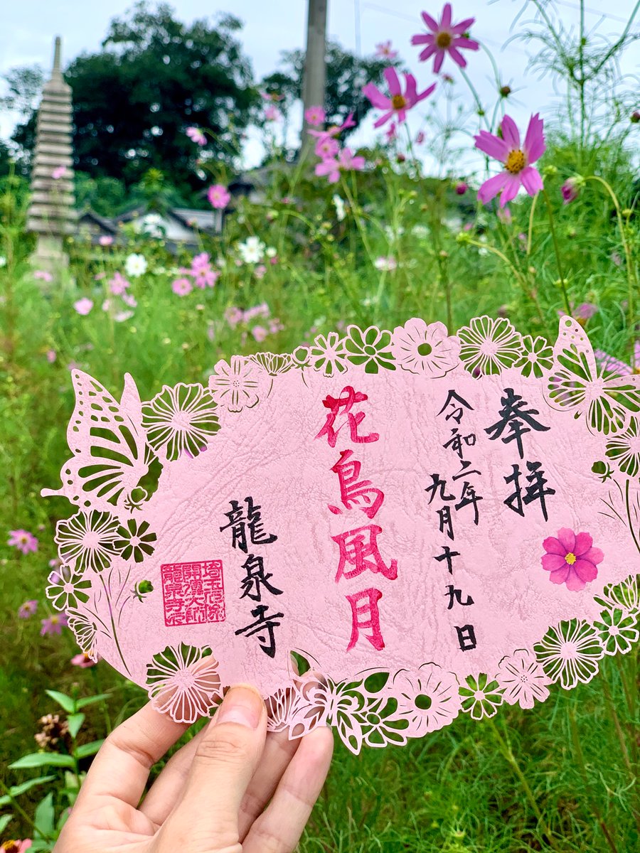 埼玉厄除け開運大師 龍泉寺 公式 おはようございます 境内のコスモスが咲き始めています みなさんお気をつけてお越しくださいませ コスモス 御朱印 熊谷市