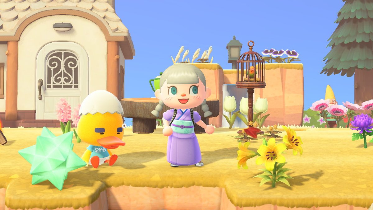 piter_juny's tweet photo. #동물의숲 #AnimalCrossing #ACNH #NintendoSwitch https://t.co/tTkKFJ6y7f