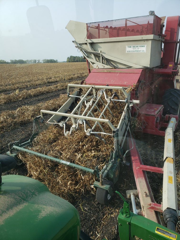 Ludowese Family Farm tweet media