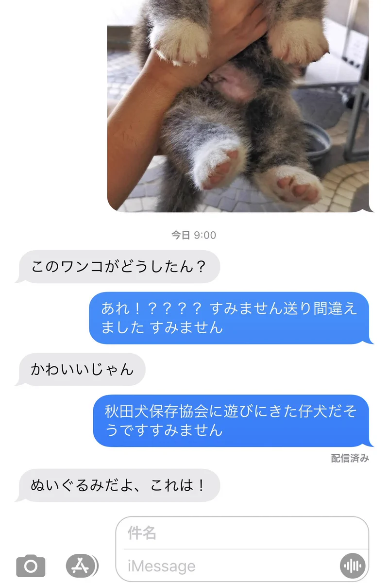 間違えて上司に仔犬の画像を送ってしまった！気になる上司の反応は…