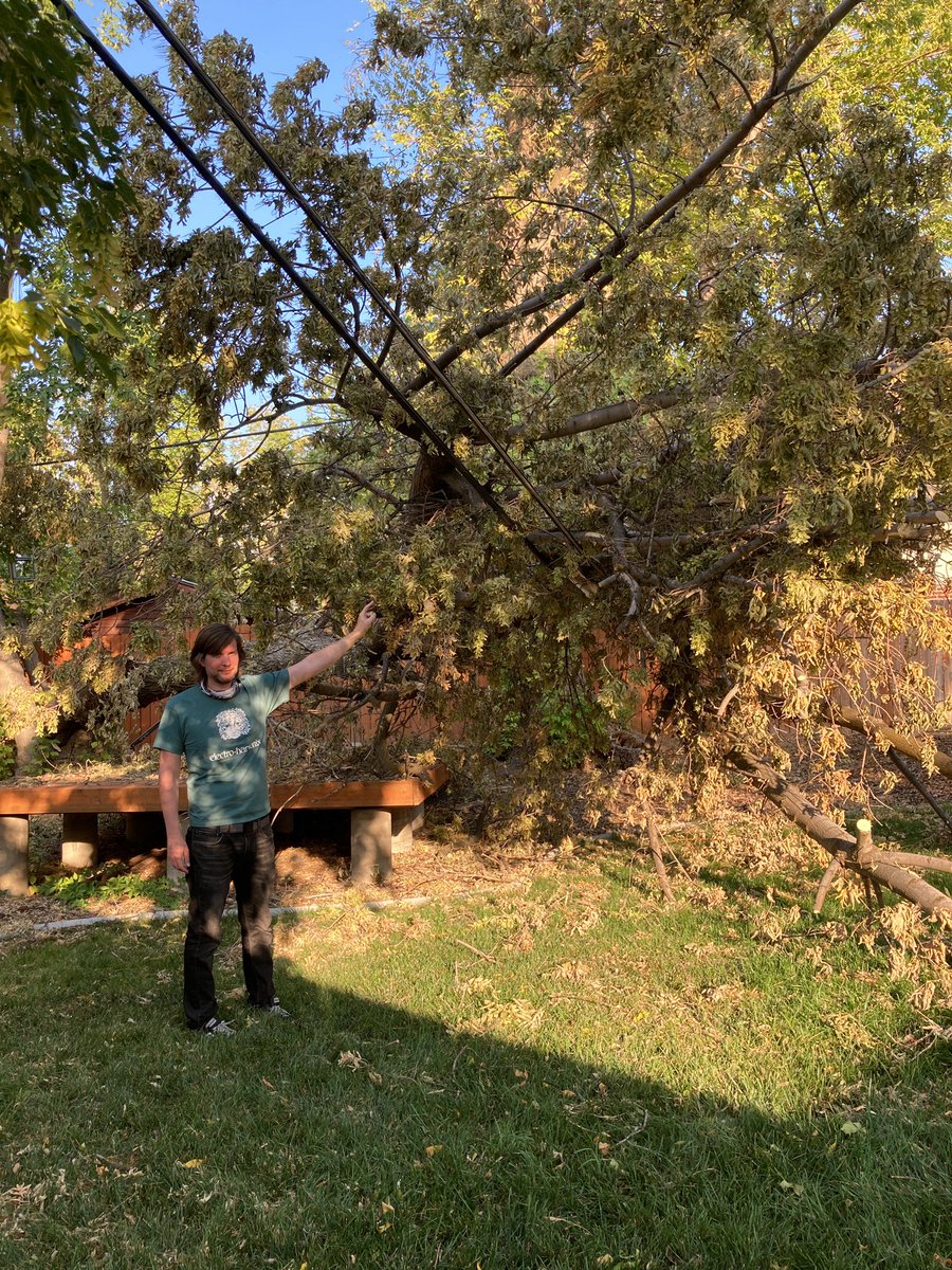 hannahbybee's tweet photo. @CenturyLink can we get an ETA when this will be taken care of? It’s been 2 weeks. We’d like a callback. Not safe.  #communicationwires https://t.co/5WdiBnozmU