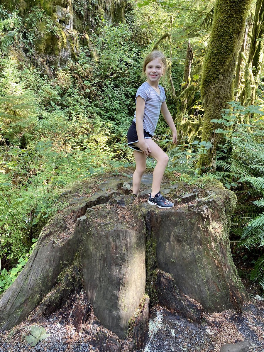 TomMurrayTV's tweet photo. Sun ☀️ is back out after nearly two weeks of smoky skies due to #oregonwildfires2020 #oregonwildfires.  Great day to explore! #waterfalls #oregonwaterfalls #majesticfalls #lebanonoregon #familyday https://t.co/Akq1adCkmV