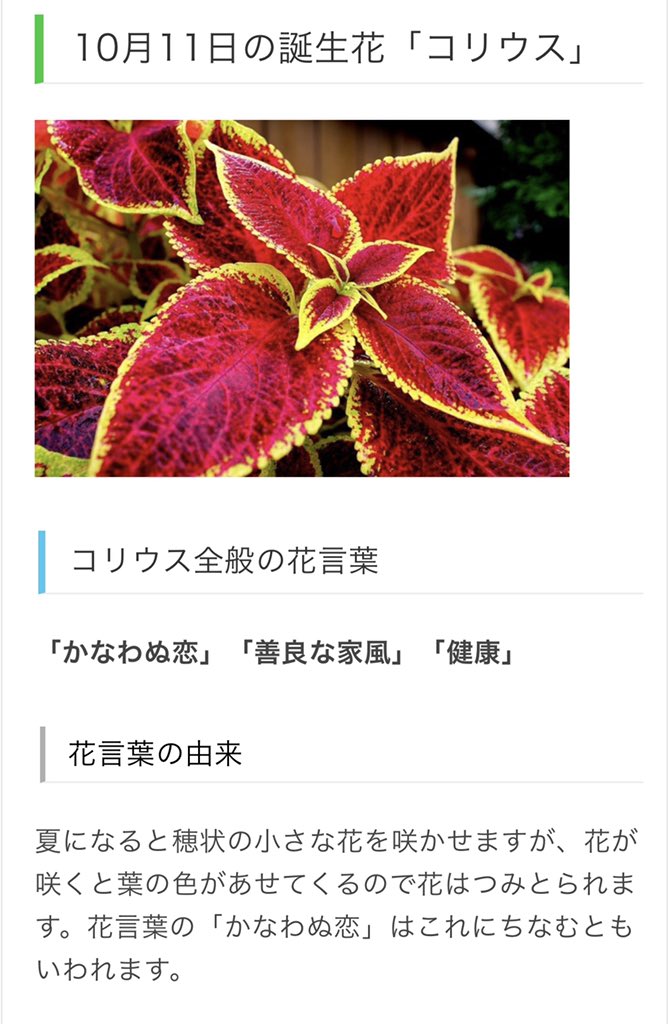 えりか 宏太朗のレモン 好きはここにも関係してるのかな 笑 まさか江口さんの誕生日の5月22日の誕生花 がレモンだったなんて しかも花言葉が 心から誰かを恋しく想う えぐこたやってんなー Cv安元さん でも誕生花って色々あるみたいでミツバツツジの花 えりか 宏太朗のレモン 好きはここにも関係してるのかな 笑 まさか江口さんの誕生日の5月22日の誕生花 がレモンだったなんて しかも花言葉が 心から誰かを恋しく想う えぐこたやってんなー Cv安元さん でも誕生花って色々あるみたいでミツバツツジの花