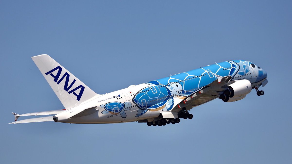 ねこいさんがANAのA380を塗り絵にしてくれました。子供たちが書いた