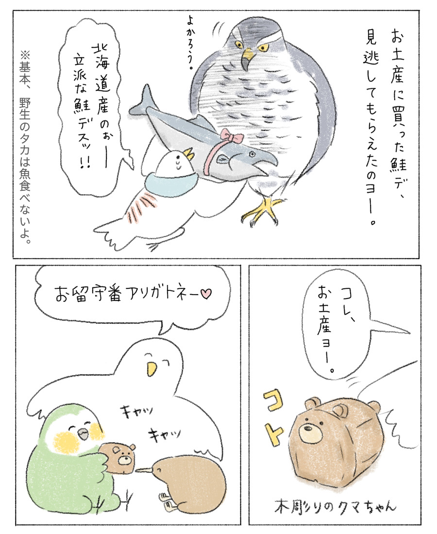 無事生還したハトさんからお土産をもらったカカポとキーウィ。
ハトさん、おかえりなさい?

実際のハトレースでも、猛禽類に襲われたり、迷子になって帰れなくなるハトさんがいっぱいいるみたい。
なんて過酷なレースなのだ… 