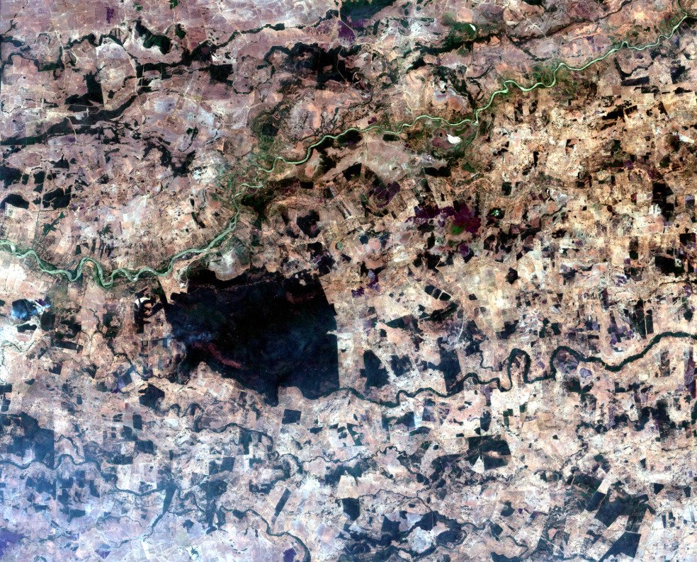 Proyecto Mono Araña tweet media