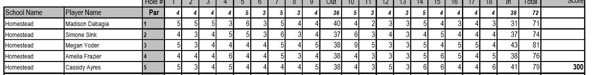 Homestead Girls Golf tweet media