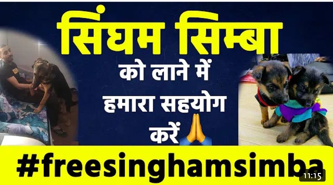 newsgirl_SY's tweet photo. #freeshinghamsimba https://t.co/IC2HZ2XeKd