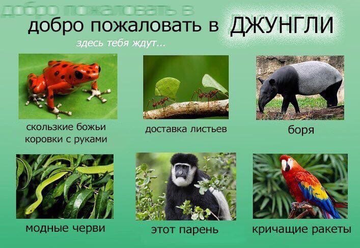 EiUbNLJXkAA7qNh?format=jpg&name=900x900