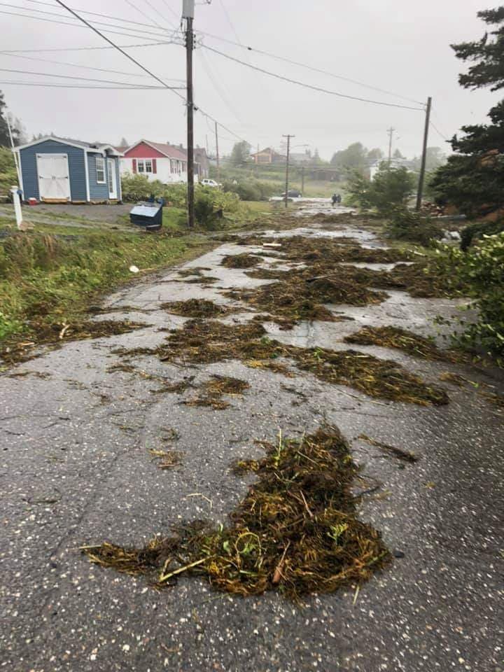 TheNewOcean's tweet image. Batten down the hatches #Hurriance Juan and #Hurriance Dorian made landfall near @ArcticGuy2's  homeport of #KetchHarbour at the mouth of #HalifaxHarbour. #Stormsurge cannot be ignored. It is real. Stay safe.