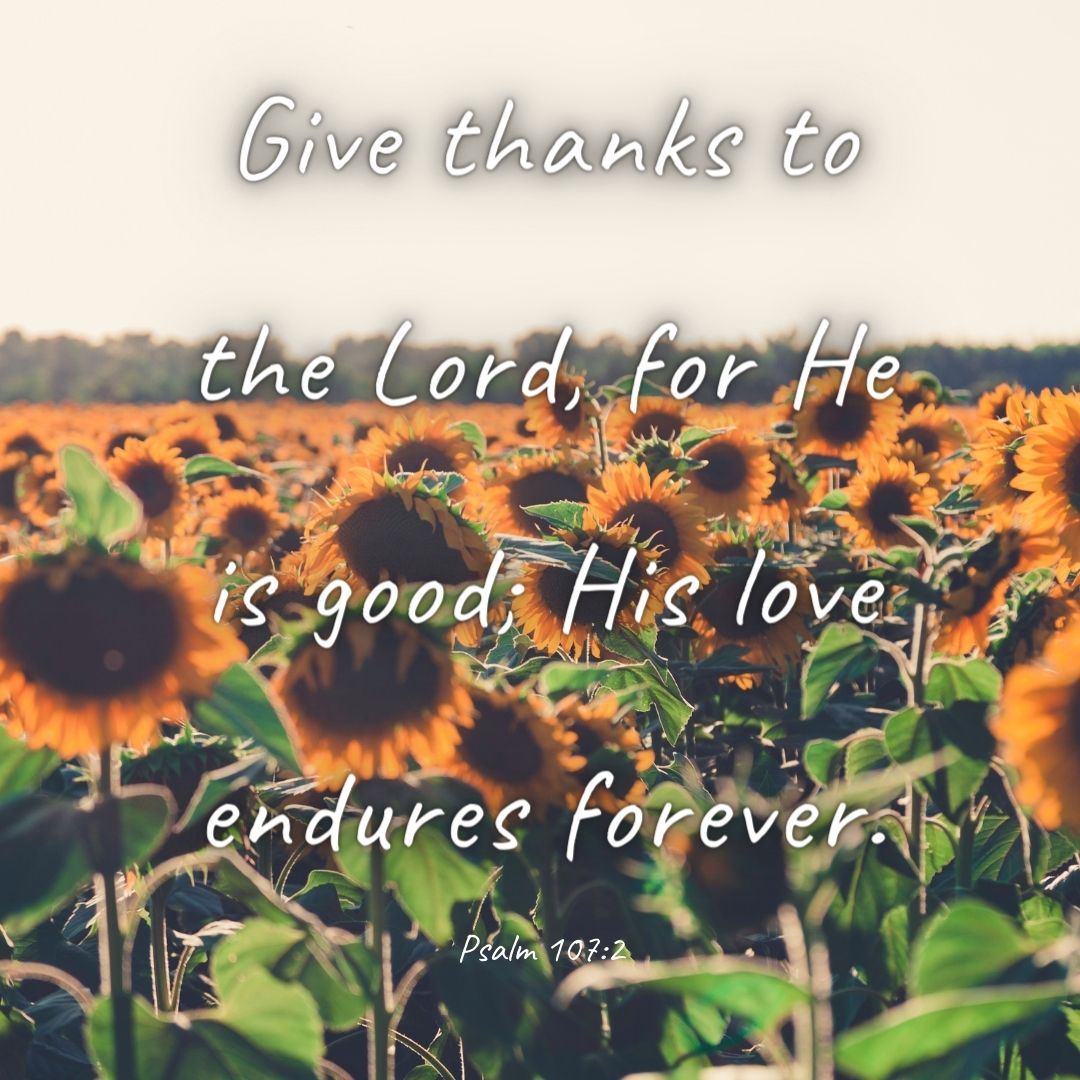 Always be thankful for all the blessings that we receive. Happy Sunday! 

#weekend #SundayThoughts #SundayMotivation #Thankful #workfromhome #virtualassistant