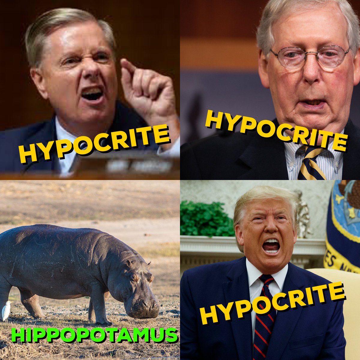 SlowMotionPict's tweet photo. @LindseyGrahamSC @realDonaldTrump https://t.co/g2rLxwVlrP