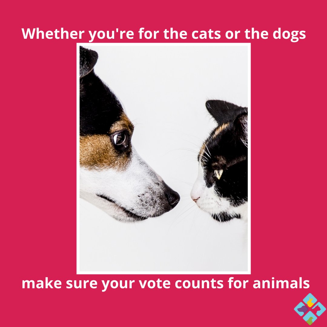 Are you ready to vote? Remember to vote for animals this election, your vote matters for animals too. Check out our new blog post about this! 
humanedominion.org/voting

Want to support Humane Dominion? Donate Here:humanedominion.org/support-us/don…