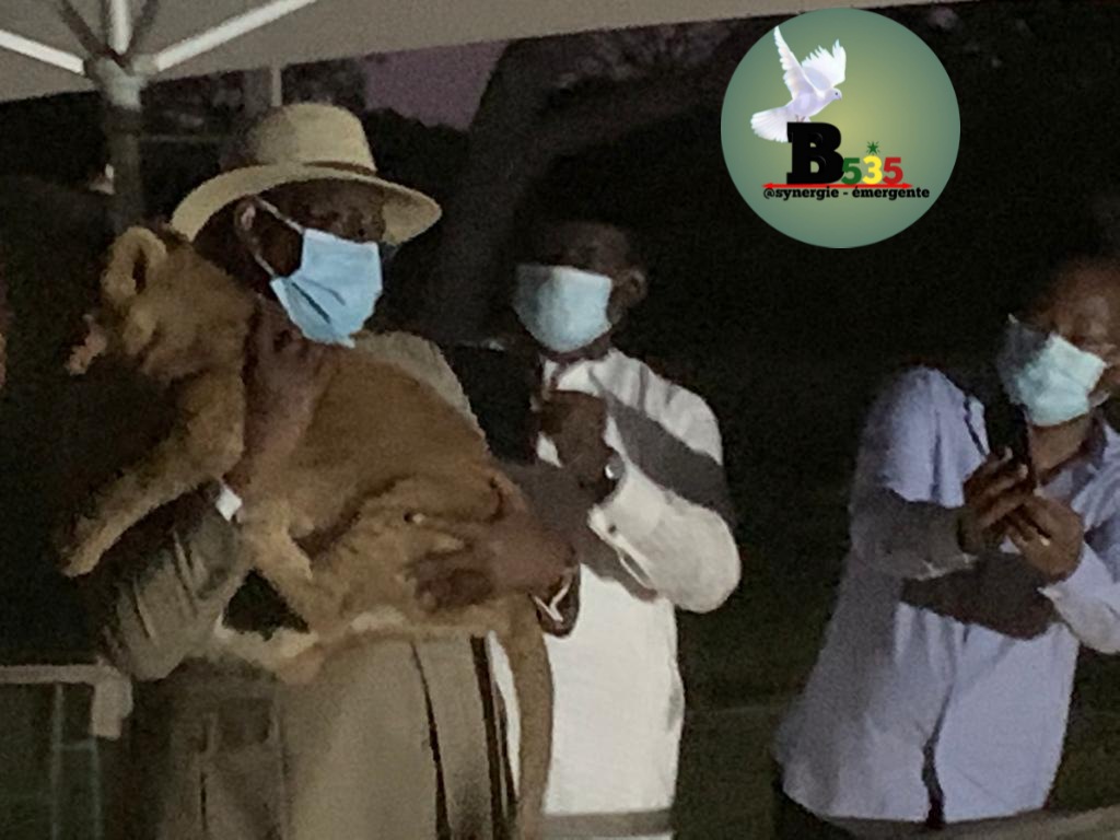 BacarySECK5's tweet photo. Le Président @Macky_Sall à #Fatala, portant sur ses épaules un lionceau ......sublime https://t.co/G4uSsa1lST