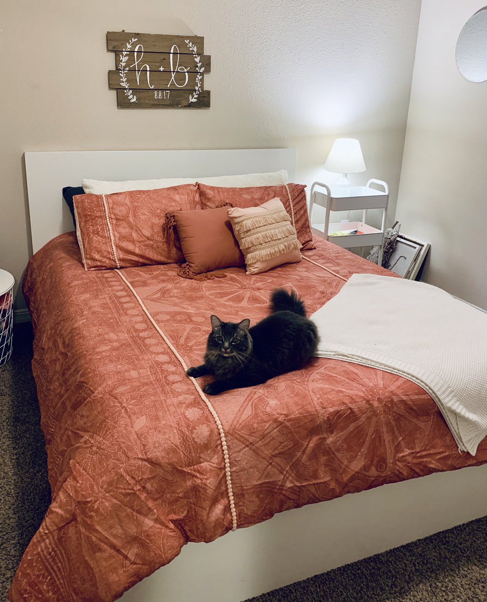 Hannah🐝 tweet media