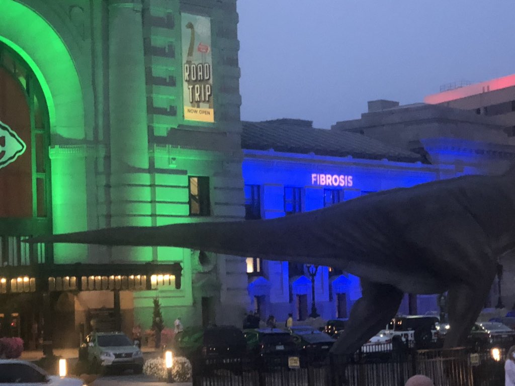 FibroticJayhawk's tweet photo. KC giving a shoutout to all the #PFWarriors #BlueUpforPF https://t.co/iZXmXrpMJW
