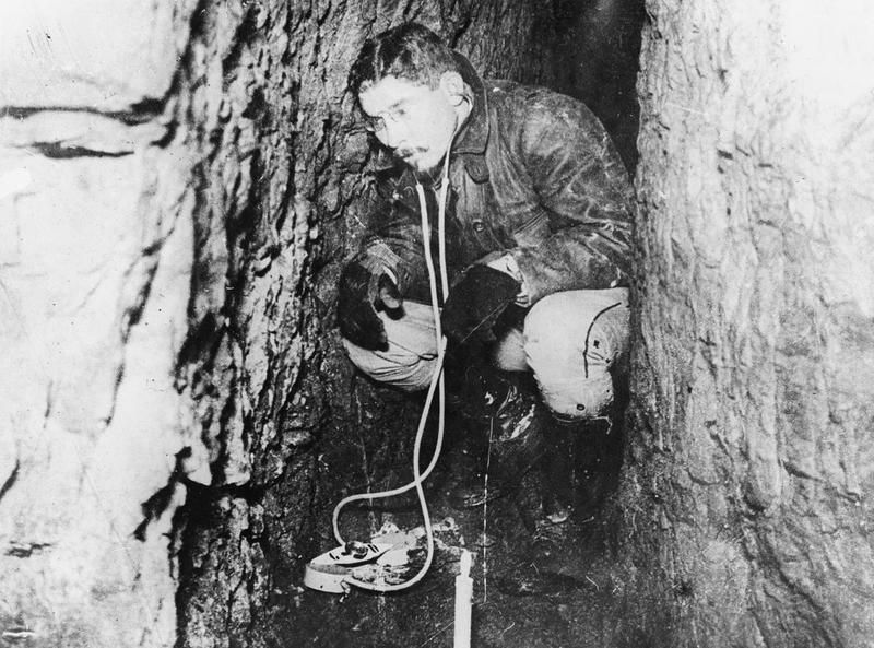 UNDERGROUND WARFARE!Yes, Vietnam tunnel rats did a very tough job.But in World War One, miners had to worry about COUNTER-miners exploding out of the floor, ceiling, or walls with axes, daggers, pistols, and GRENADES.So both sides listened with stethoscopes.