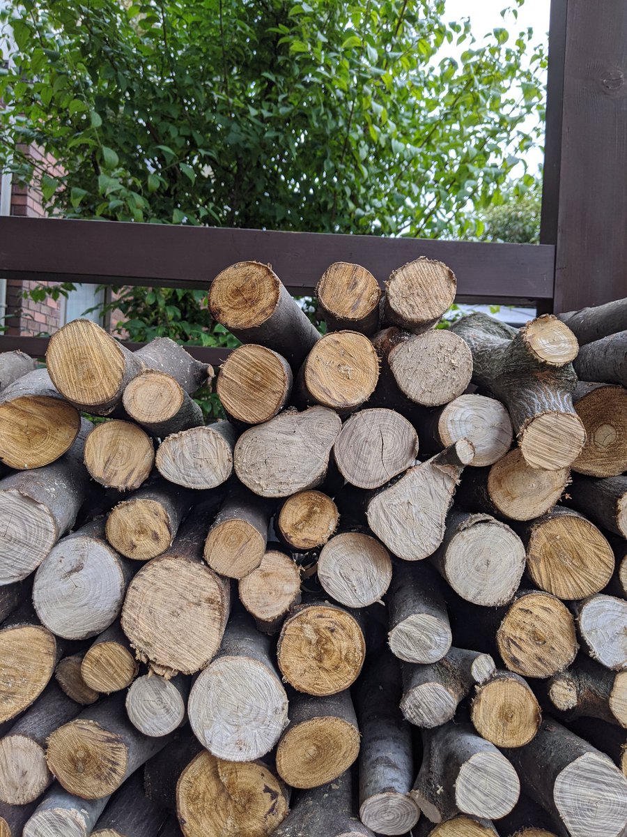 赤井都 久しぶりに絵を描いた 豆本の挿絵として 活版で縮小して刷るつもりだから もっと小さく描きたい 線をきれいに並行にしたい と 自分の都合がわかっていて描くという経験になった 中身から豆本づくりは こんなふうに絵を一枚描く日もある 本