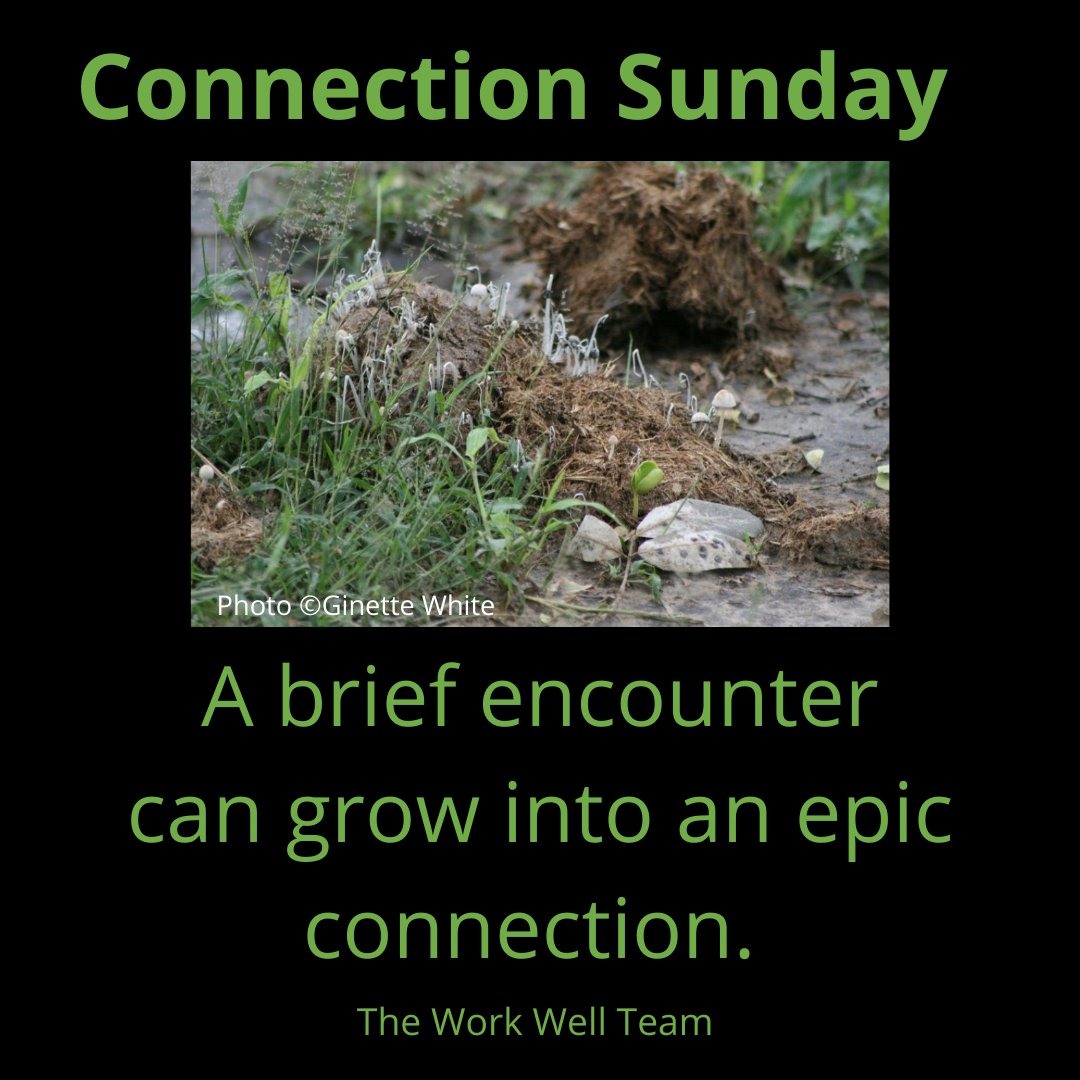workwellteam's tweet photo. #connection #mindfulness #gratitude #laughter #selfcompassion #kindness #mentalhealth https://t.co/G5l3vkDbpZ