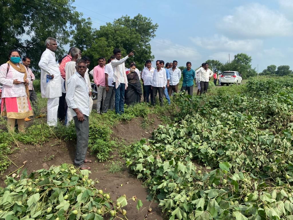 prernawarpudkr's tweet photo. मानवत तालुक्यातील पाळोदी, हात्तलवाडी, सावरगाव व सावळी या गावांना नायब तहसीलदार वाघुंडे साहेब व संबंधित सज्जाचे तलाठी यांच्या समवेत भेट देवून अतीवुष्टी मुळे नुकसान झालेल्या पिकांचे स्पॉट पंचनामे करून घेतले. https://t.co/D5IZeZoSW8