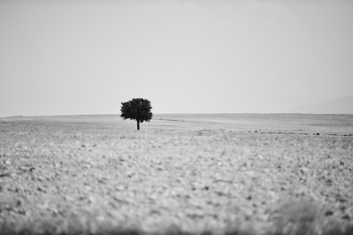 Hava soğuyunca gölge veren ağaçları unutursun.

Japon atasözü
