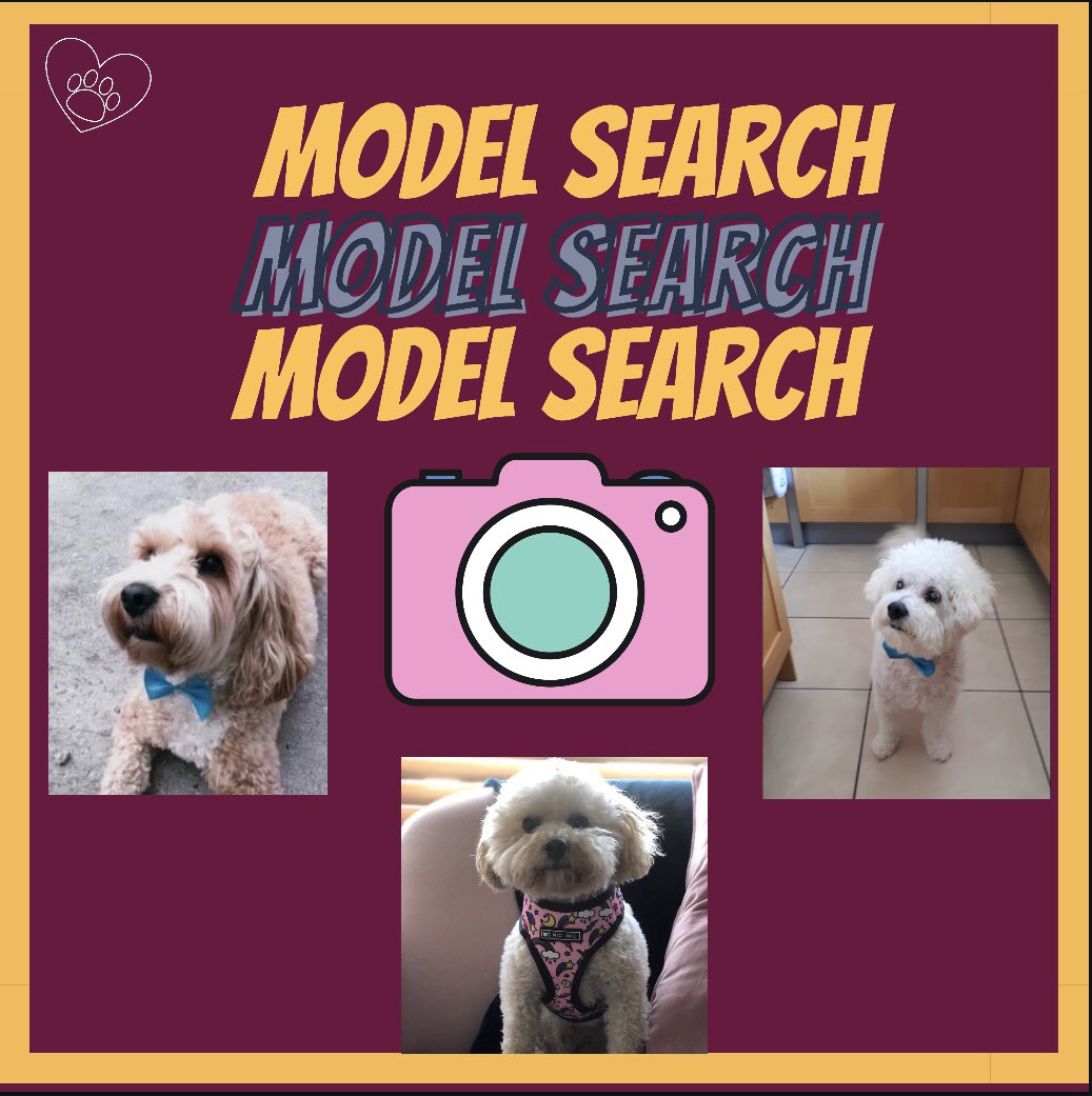 #earlybiz 
We have a dog model search going on over at @dogapparelbyalf on IG! If you’ve got a gorgeous pooch and want them to take part head over and check out the details! 
#SmallBusiness #smallbiz #smallbusinessowner #dogmodel #dogsoftwitter #dogsofinstagram #BrandAmbassador