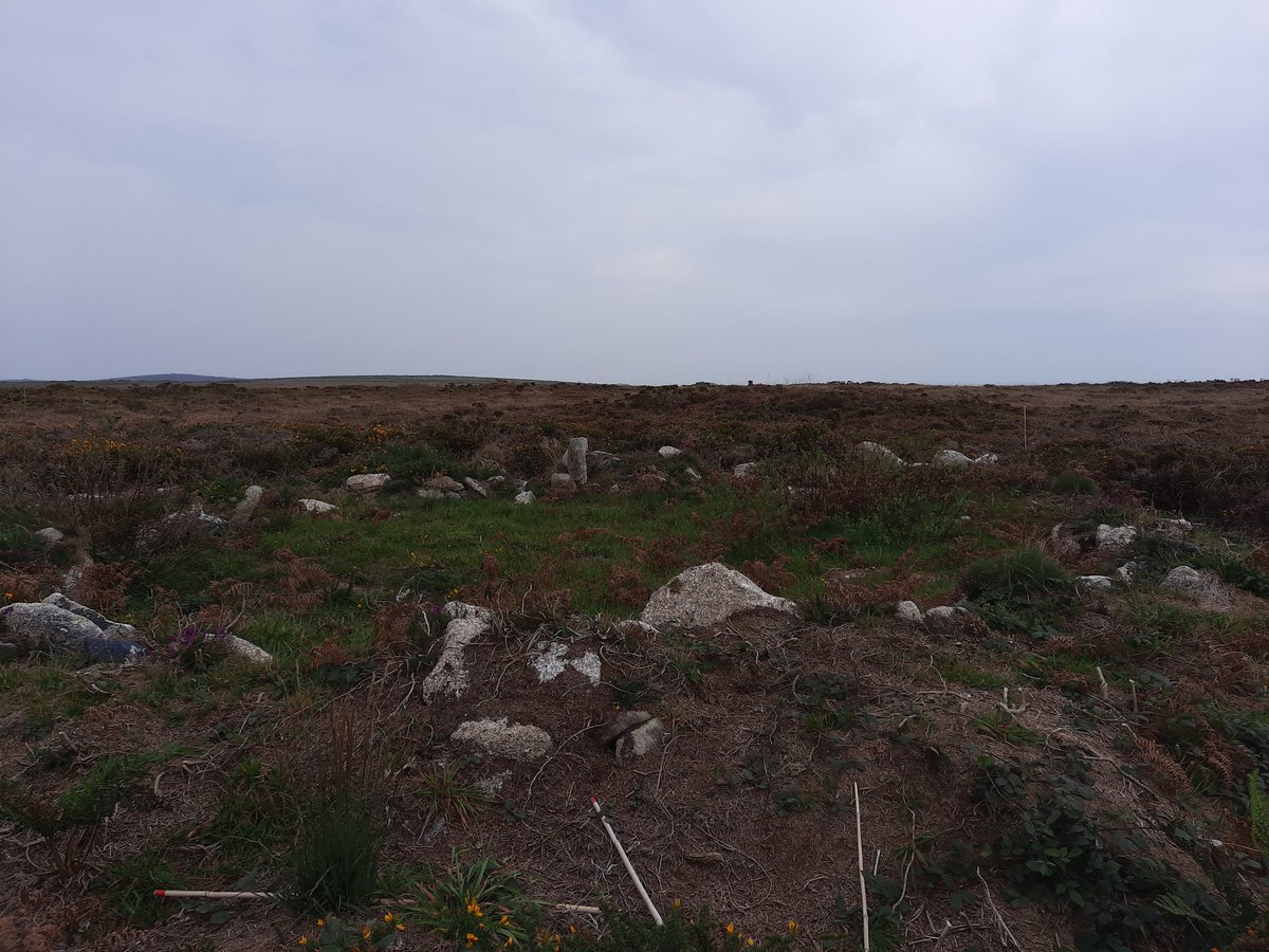 Near to Sperris Quoit mentioned upthread is Sperris Croft ancient village. 7 hut circles on a high ridge. Very exposed spot for a settlement so possibly for Summer grazing (?) Partially excavated in the 50's and dated at Bronze Age. Lovely remote setting. #PrehistoryOfPenwith