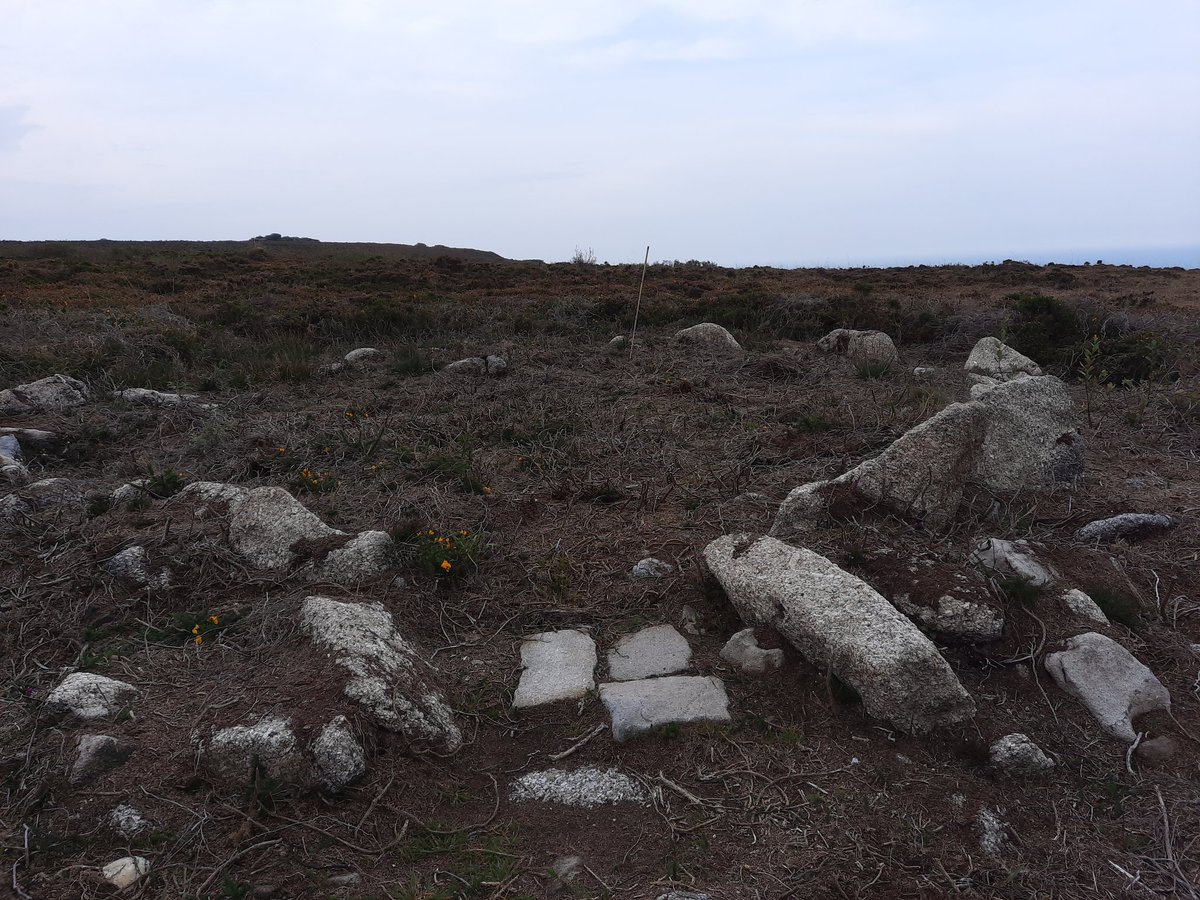 Near to Sperris Quoit mentioned upthread is Sperris Croft ancient village. 7 hut circles on a high ridge. Very exposed spot for a settlement so possibly for Summer grazing (?) Partially excavated in the 50's and dated at Bronze Age. Lovely remote setting. #PrehistoryOfPenwith