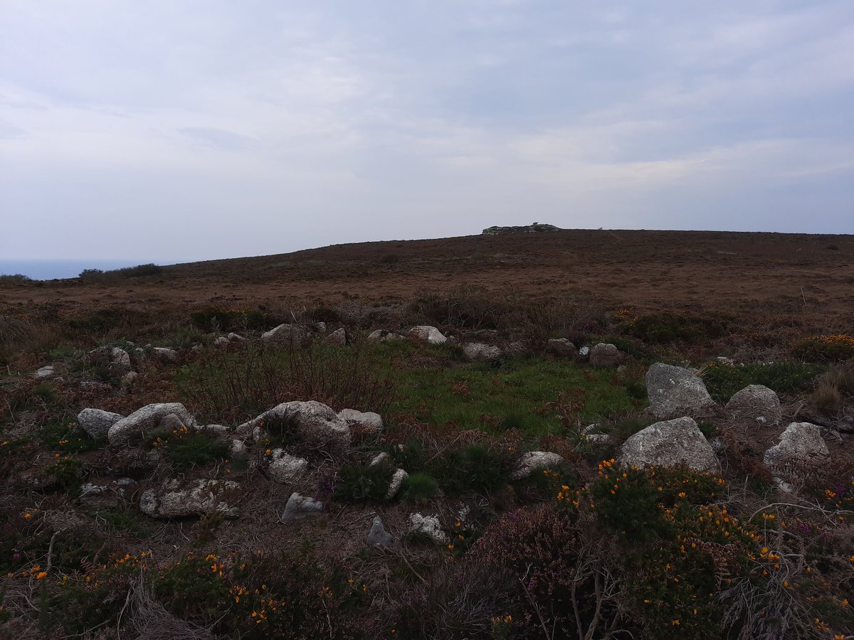 Near to Sperris Quoit mentioned upthread is Sperris Croft ancient village. 7 hut circles on a high ridge. Very exposed spot for a settlement so possibly for Summer grazing (?) Partially excavated in the 50's and dated at Bronze Age. Lovely remote setting. #PrehistoryOfPenwith