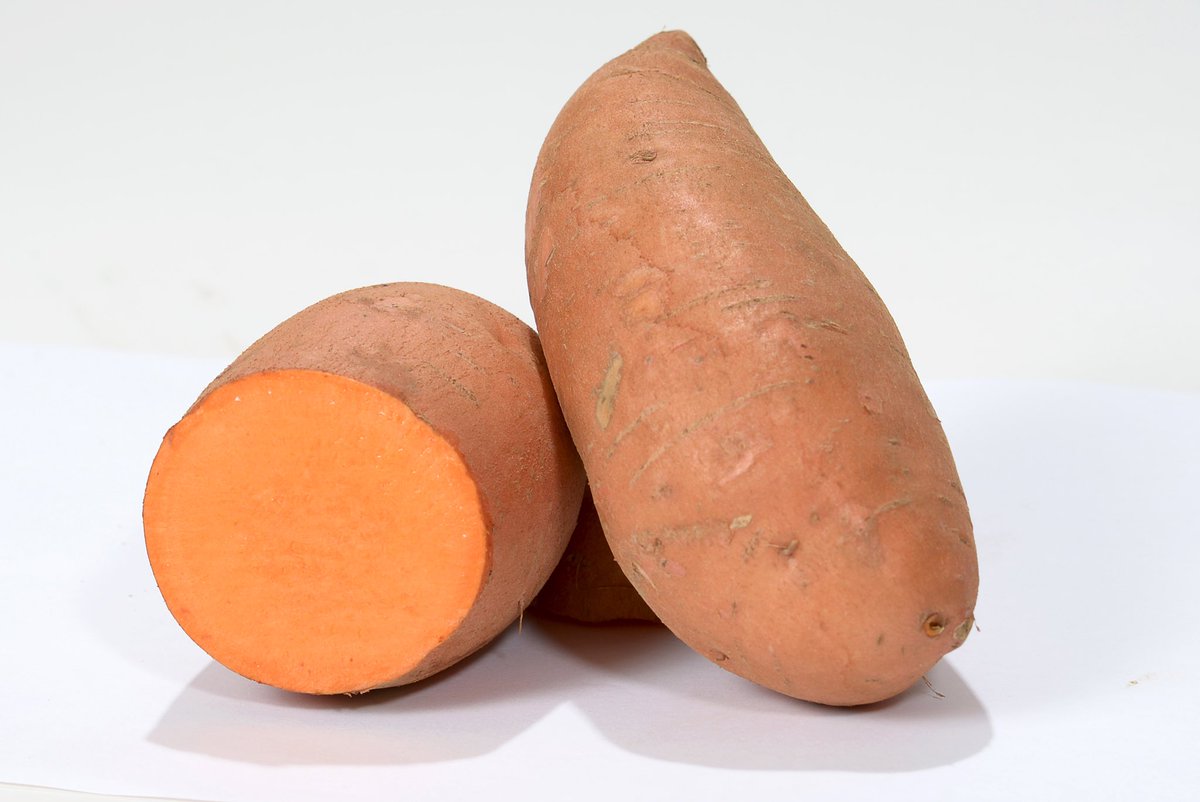 NativaLand's tweet photo. Bellevue a unique, easily recognised variety in the field and food store shelves with copper / purple foliage great well shaped roots with fine skin! A high yield, higher in beta carotene! #sweetpotato #europe #bellevue Bellevue is protected in Europe by EU breeders rights. https://t.co/i0M9U8oJjd