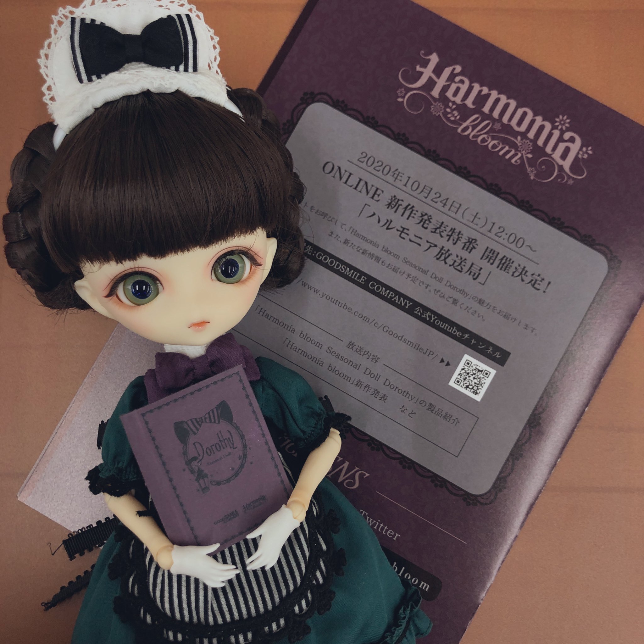ハルモニアブルーム Harmonia bloom Charlotte （Harmonia Bloom