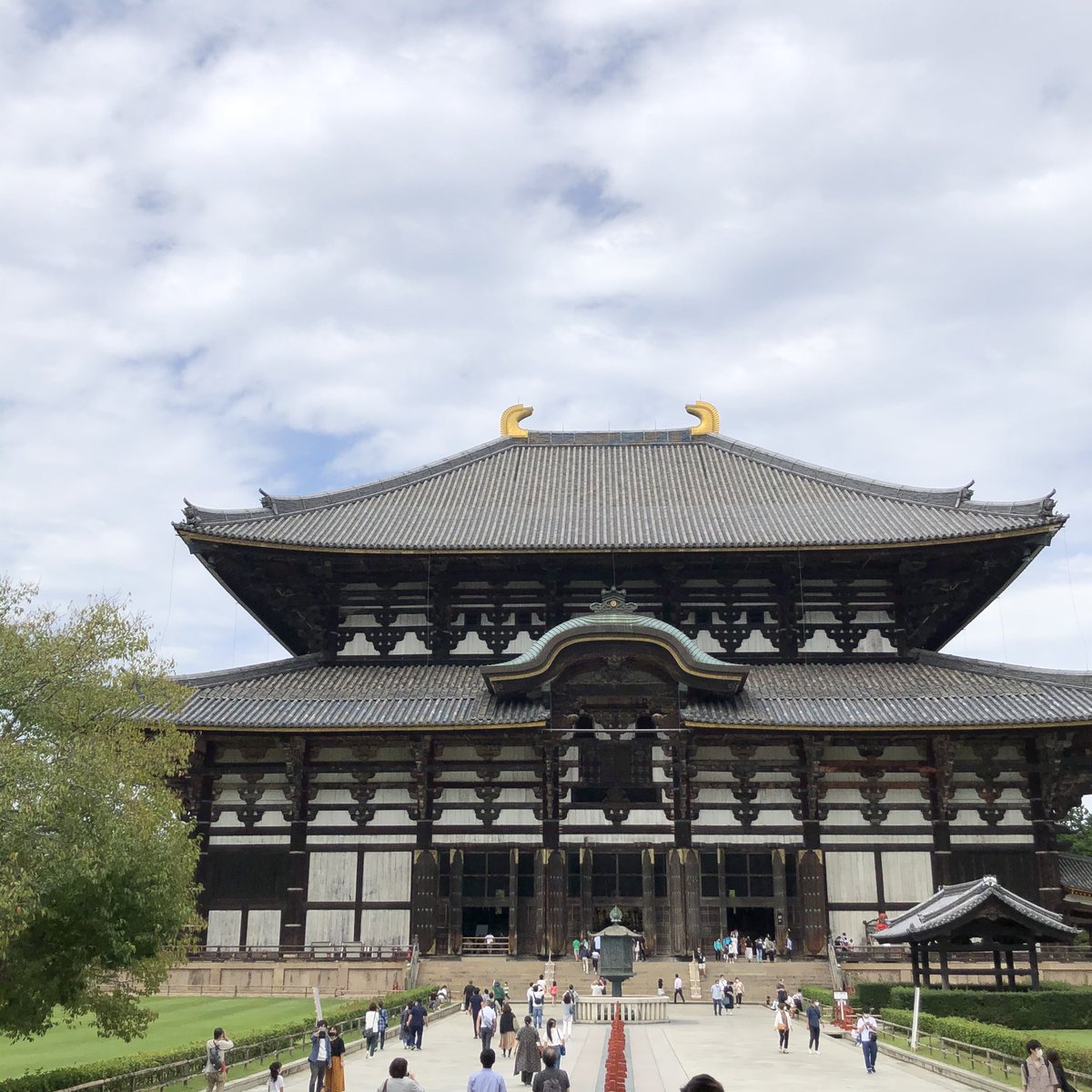 1Ma136's tweet photo. 奈良　東大寺に来ました。
入場待ちが密なのでクエストのみ受注😭
お腹空いた〜
#DQウォーク 
#ドラクエウォークお土産 https://t.co/r2Z5jHJCuQ