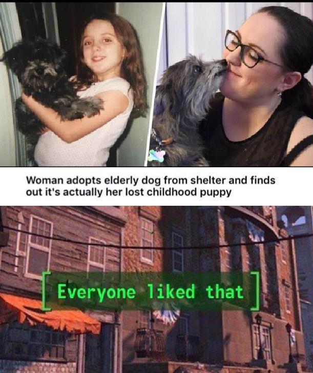 Memes Happy Dog Noises T Co Dgqpudcp Twitter Memes Happy Dog Noises T Co Dgqpudcp Twitter