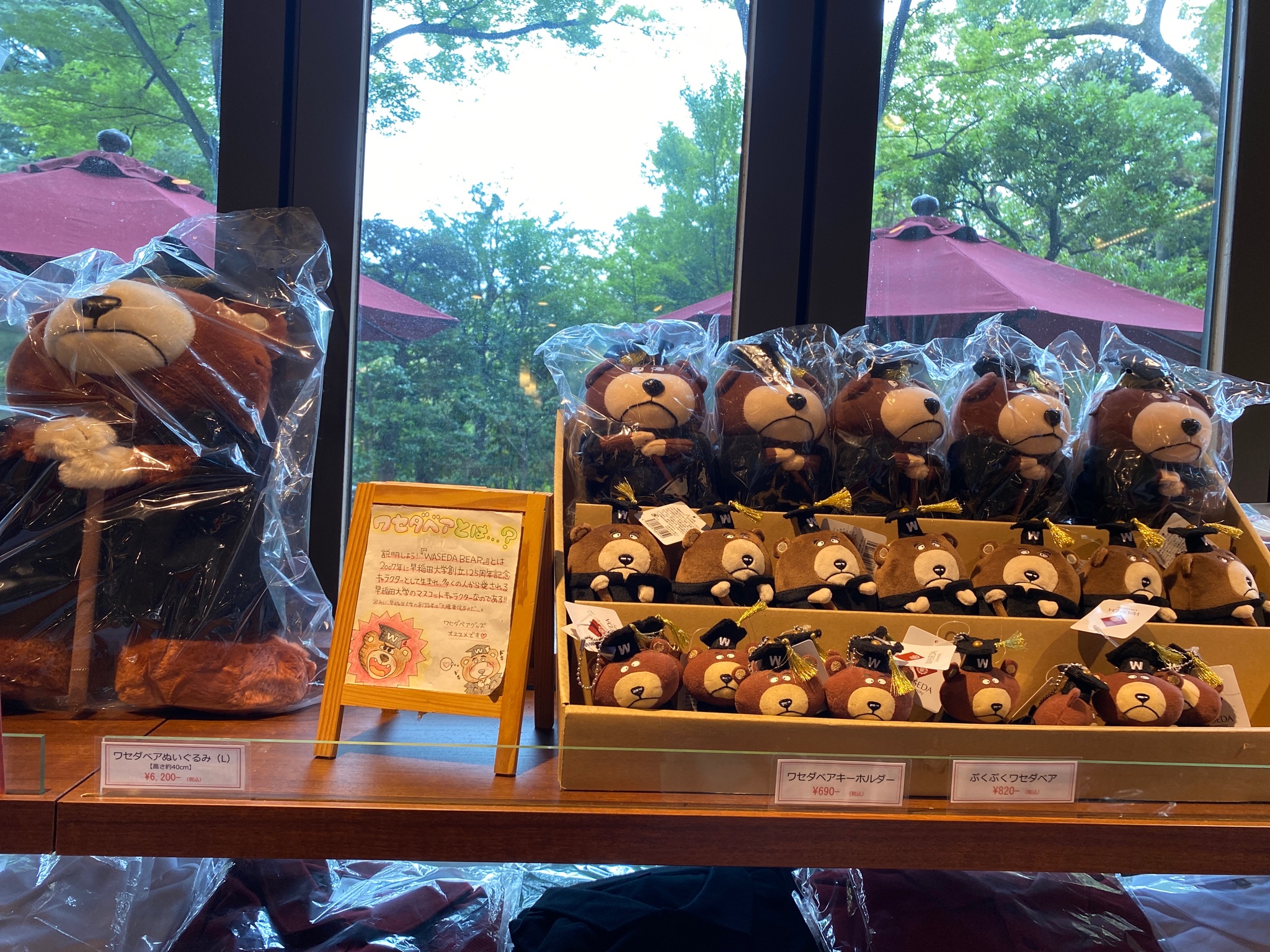 Si Uni Shop Cafe125 早稲田大学 Sa Twitter ご卒業の皆様おめでとうございます 本日 大隈庭園 も開園しております 記念撮影などでお越しの方 ぜひ Unicafe125 Unishop125 にもお立ち寄りください 早稲田ブランドコーヒーや ワセダベアグッズ も