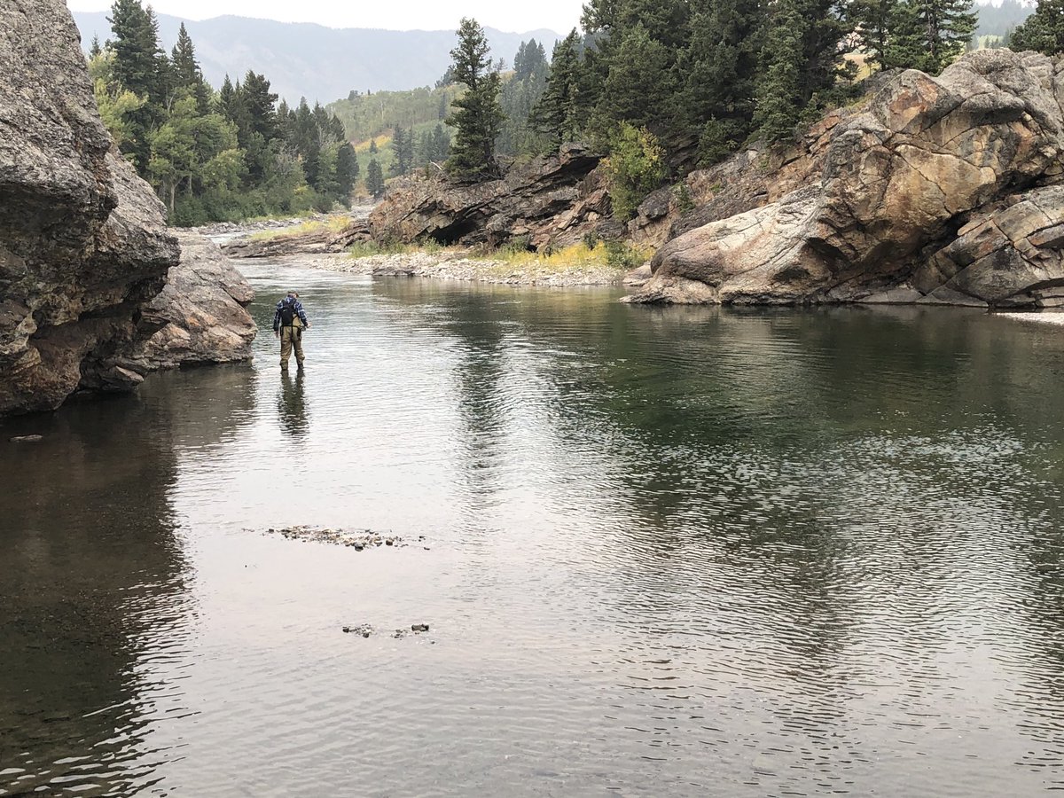 troutwhispers's tweet photo. Too bad about all the smoke, but this is one of the most epic river valleys to fish anywhere - maybe even my favourite. Turquoise pools and amazing scenery.
And cooperative trout was the icing on the cake!
#flyfishalberta https://t.co/TNBAX2awgn