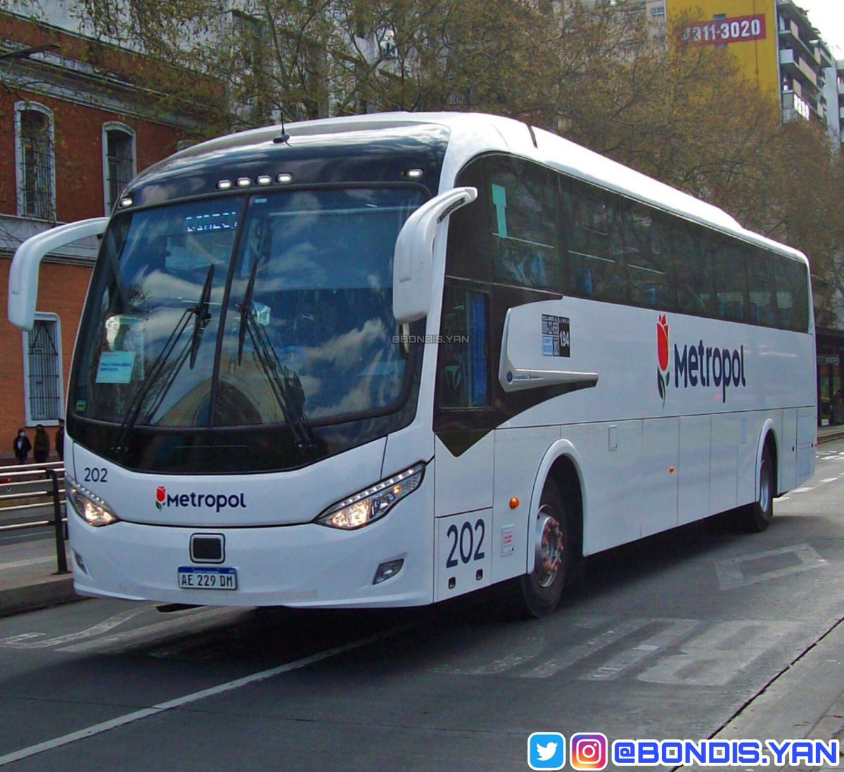 BondisYan's tweet photo. .
Línea ❶❾❹ / Interno 202 / La Nueva Metropol S.A.T.A.C.I. / Scania K310 / Metalsur Starbus III / Con AIRE ACONDICIONADO / Patente AE 229 DM / Año 2020 .
.
#linea194 #lanuevametropol #metalsur #metalsurstarbus #scaniak310 #scania https://t.co/eMdijfZdaE
