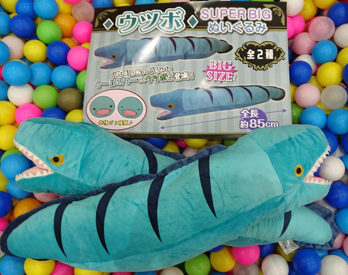 アミュージアム小松店 景品情報♪ 「ウツボSUPERBIGぬいぐるみ」入荷