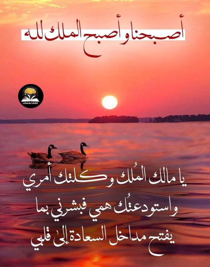 صورة من ابوخالد🎱