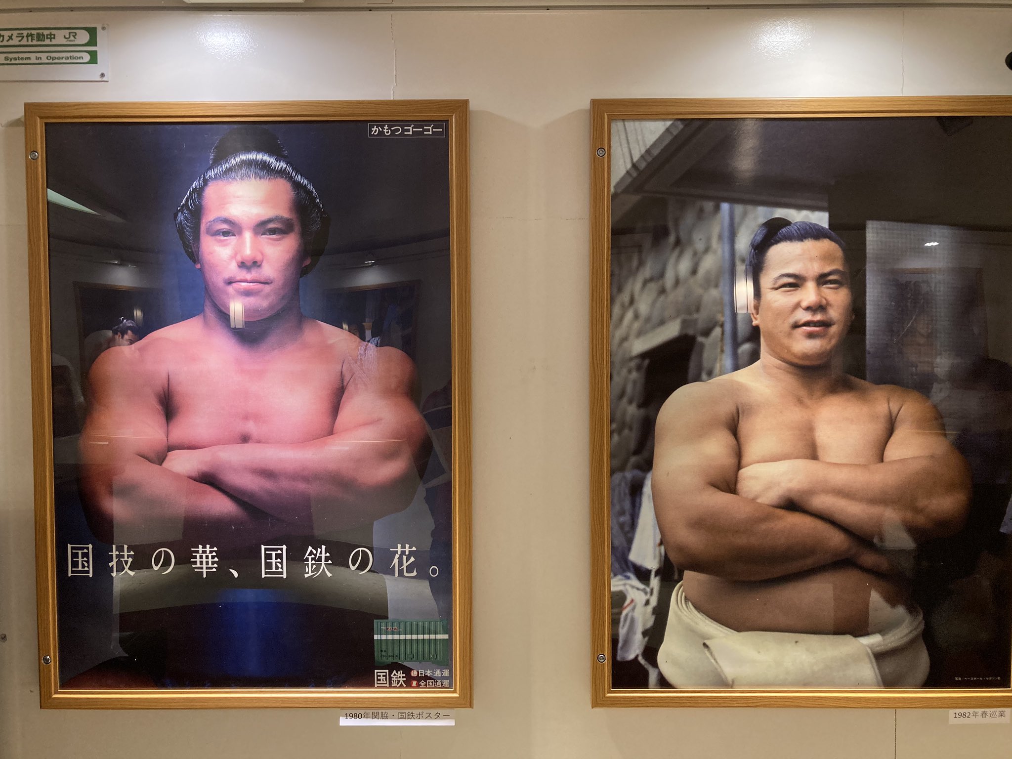千代の富士　国鉄　ポスター 千代の富士国鉄ポスター